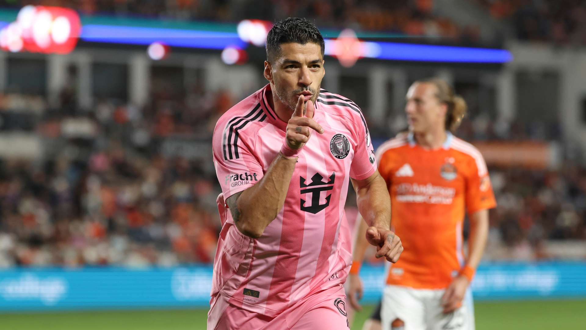 不仅促进了 不仅促进了