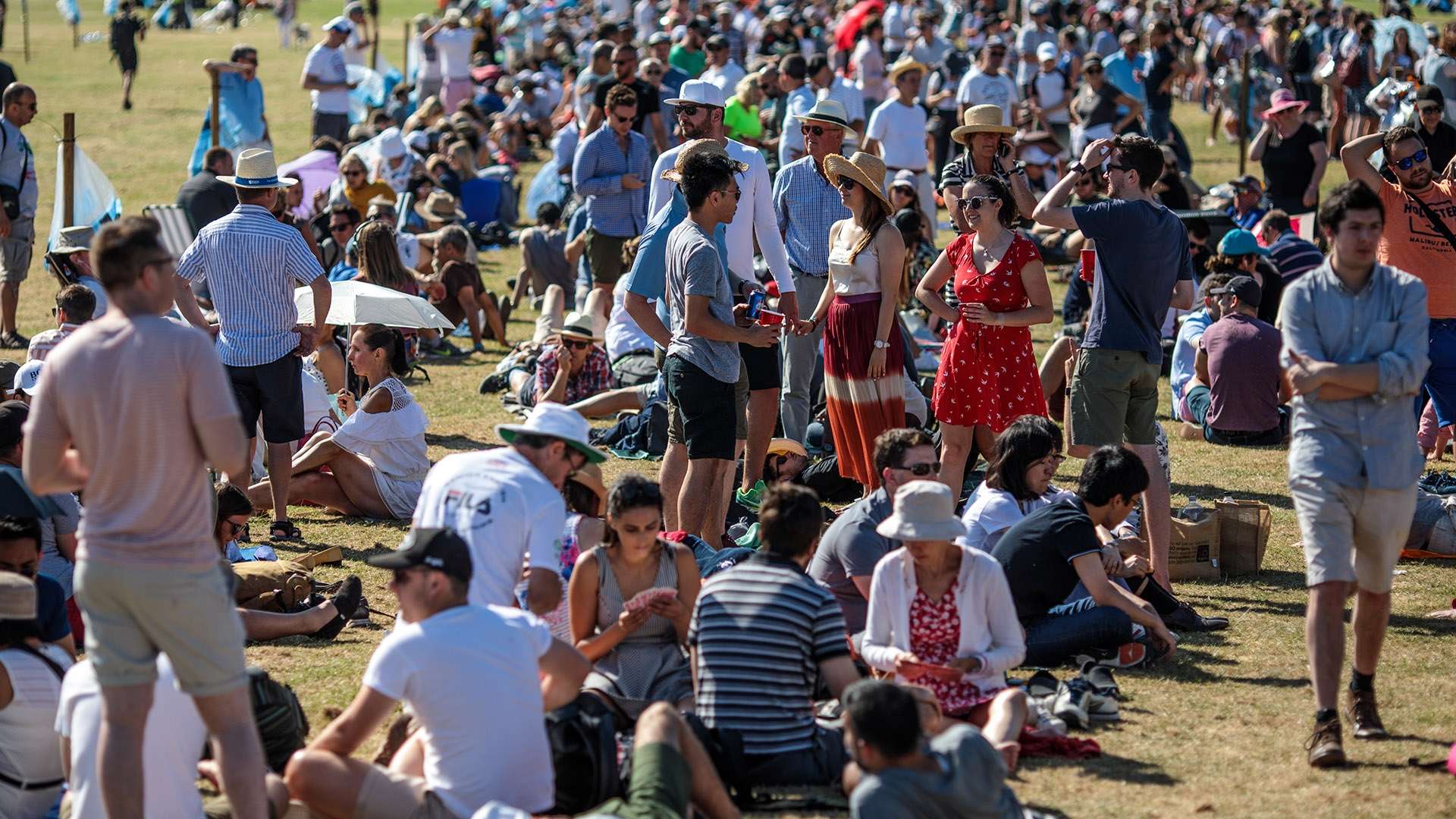 迷关注申花 迷关注申花